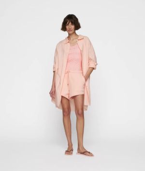 Peach 1158