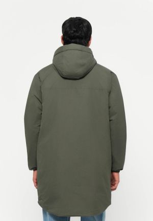 Black Olive
