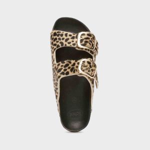 Leopard 1850