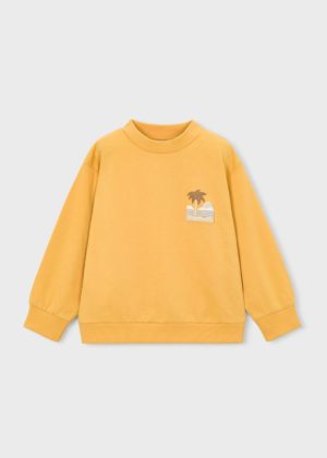  Peach 31