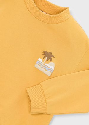  Peach 31