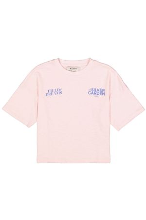  Chalk Pink 3553
