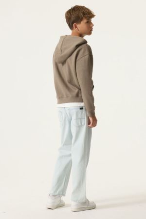  Taupe Grey 5068