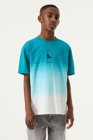 Teal Blue 6750