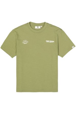  5323-conifer