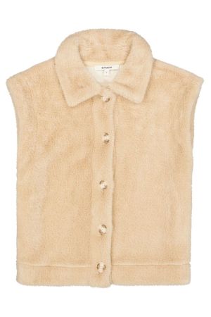  Winter Camel 49