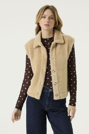 Winter Camel 49